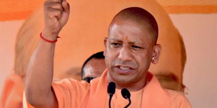 ‘‘मैं सूअर और तू मेरा बच्चा’’