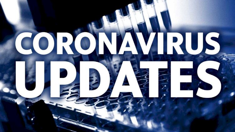 Corona Update : भारत में तेजी से हो रहा है प्राणघातक कोरोना वायरस का प्रसार, मरीजों की संख्या पहुंची 24 हजार के पार, अब तक 775 लोगों की हुई मौत