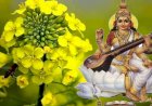 बसंत पंचमी के पावन पर्व पर पीले रंग का क्यों है गहन महत्व? बसंत पंचमी को क्यों माना जाता है  जीवन के आरंभ का दिन?