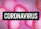 Corona Virus : नोएडा प्रशासन हुआ सचेत,एहतियातन 1000 देसी-विदेशी कंपनियों को भेजा गया अलर्ट नोटिस,दो स्कूलों को भी किया गया बंद