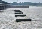 दिल्ली में यमुना 'खतरे के निशान' के पार, बाढ़ का अलर्ट जारी, निचले इलाकों से लोगों को हटाने का काम शुरू