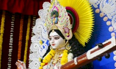 शुक्लवर्ण, श्वेतपद्मासना, हंसवाहिनी, वीणावादिनी, स्वेत वस्त्रधारनी हैं माँ सरस्वती