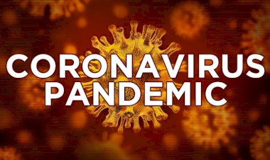 Lockdown-4.0 : कोरोना संक्रमितों की संख्या में रिकॉर्ड बढ़ोतरी,24 घंटों के अंदर आए 5,242 नए मामले, कुल मरीजों की संख्या 96,169 पर पहुंची
