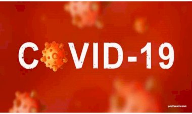Corona Update : भारत में नहीं थम रही कोरोना महामारी,रोजोना हो रही है रिकॉर्ड बढ़ोतरी,जानिए, आपके राज्य में अब तक कितने लोगों में पाई गई है ये बीमारी?