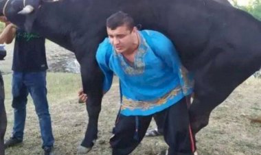 कमाल का ताकतवर है यह आदमी, भैंस-घोड़ा सब उठा लेता है, VIDEO देखने वाले रह जा रहे हैं दंग