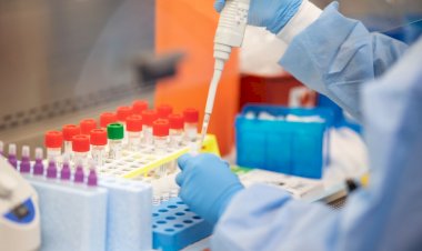 बिहार में कोरोना जांच में मनमानी, आरटीपीसीआर जांच के लिए अधिक राशि वसूल रहे निजी लैब