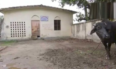 कहीं भैंस बंधे हैं तो कहीं सुनसान पड़े हैं स्वास्थ्य केंद्र, तस्वीरों में देखें कोरोना से कैसे लड़ रहा है बिहार