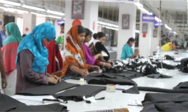 बिहार के लोगों को बाहर जाकर नहीं करना पड़ेगा काम! नीतीश सरकार लगाने जा रही है यह उद्योग