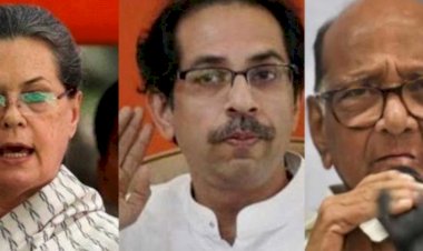 शिवसेना-कांग्रेस में पड़ रही दरार? अब उद्धव बोले- कोई अकेले लड़ने की बात करेगा तो लोग जूतों से पीटेंगे