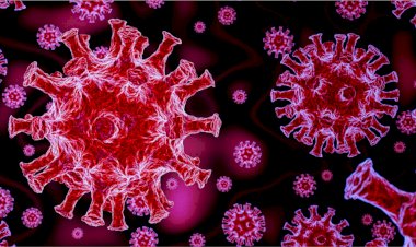 वैक्सीन लगवा चुके लोगों को भी चपेट में ले रहा डेल्टा वैरिएंट, बना रहा घातक बीमारी का शिकार, अमेरिकी रिपोर्ट में दावा