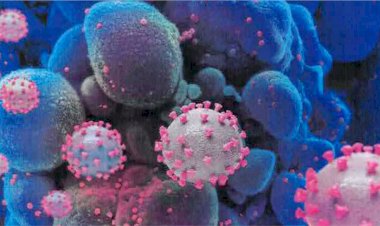 Omicron के बढ़ते संक्रमण को नहीं रोक सकते, केरल के कोविड एक्सपर्ट कमेटी के डॉक्टर ने खड़े किये हाथ