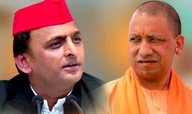 राजस्थान के सट्टा बाजार में खुला विधानसभा चुनाव का भाव: यूपी में भाजपा की वापसी, पंजाब में 'आप' चलाएगी सरकार!