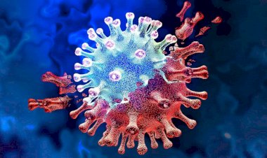 WHO ने बताया कब आएगा कोरोना का नया वैरियंट, तेजी से फैलेगा अगला वायरस