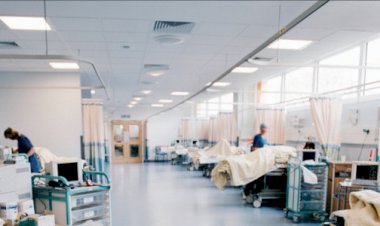 जानें  बिहार में खुल रहे 263 हेल्थ एंड वेलनेस सेंटर में किस तरह का होगा इलाज, मिलेंगी ये सुविधाएं